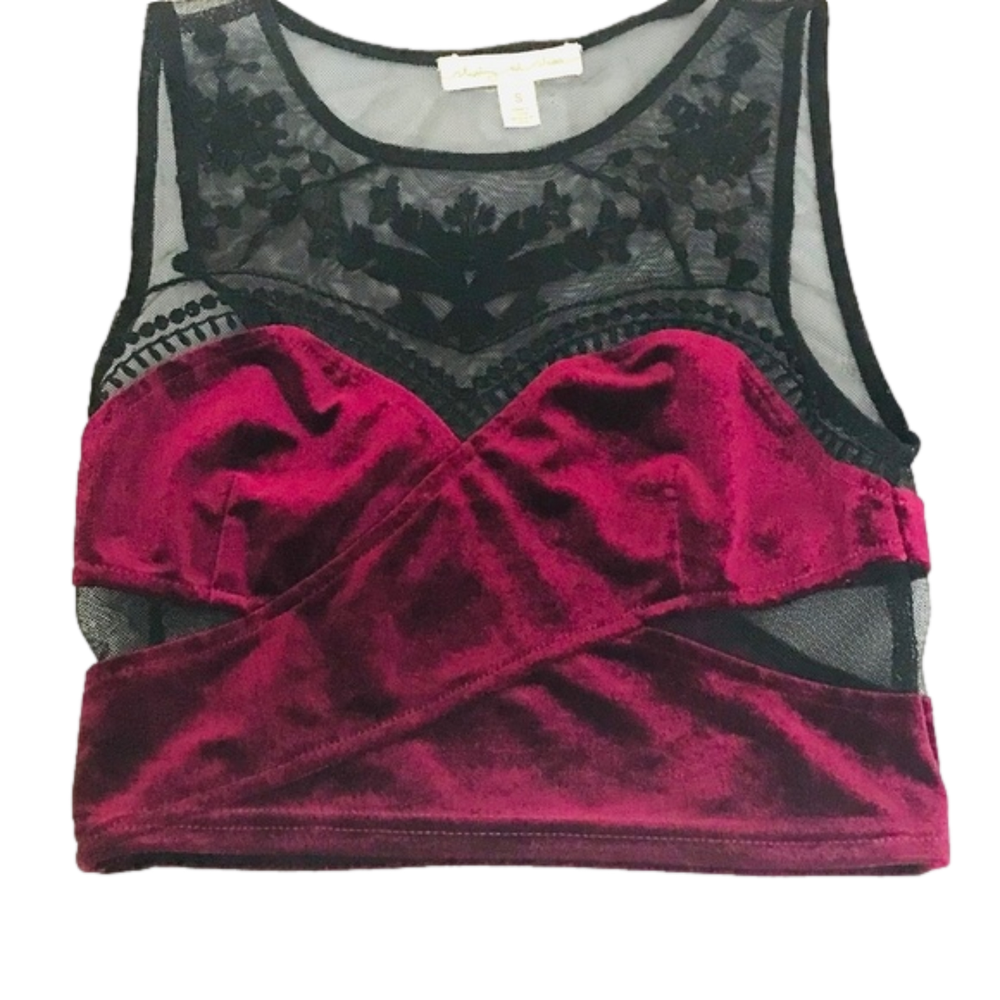 Staring at Stars Velvet and Lace Crop Top